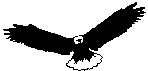 eagle.gif (1251 bytes)
